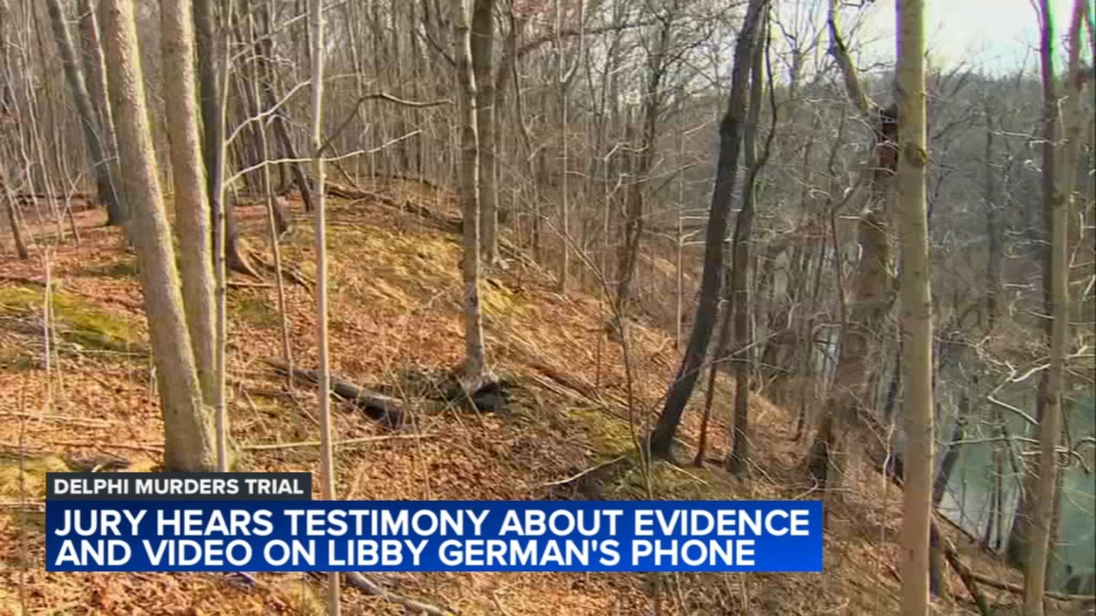 Delphi murder trial Witnesses describe 'bridge guy', compare to