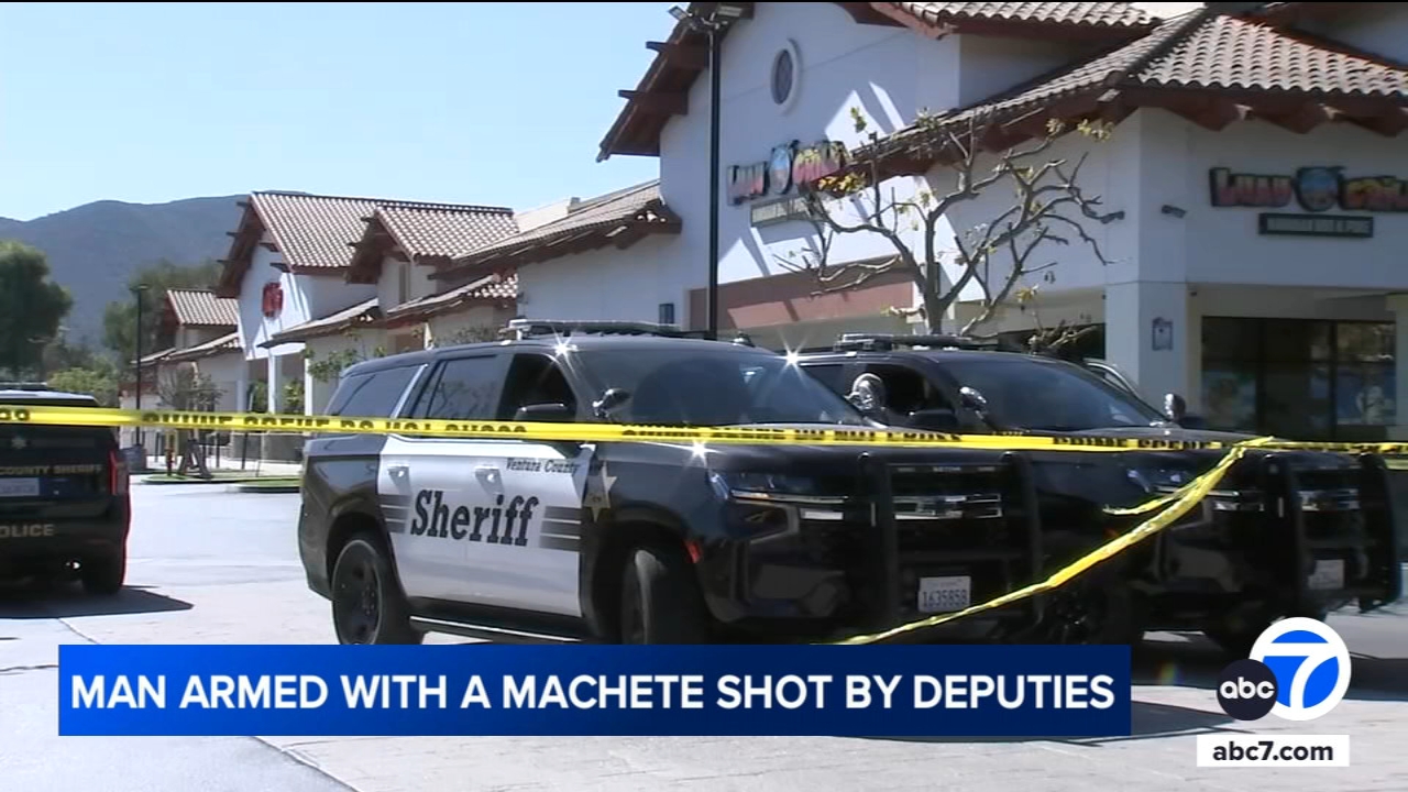 Suspect armed with machete shot by officers in Newbury Park