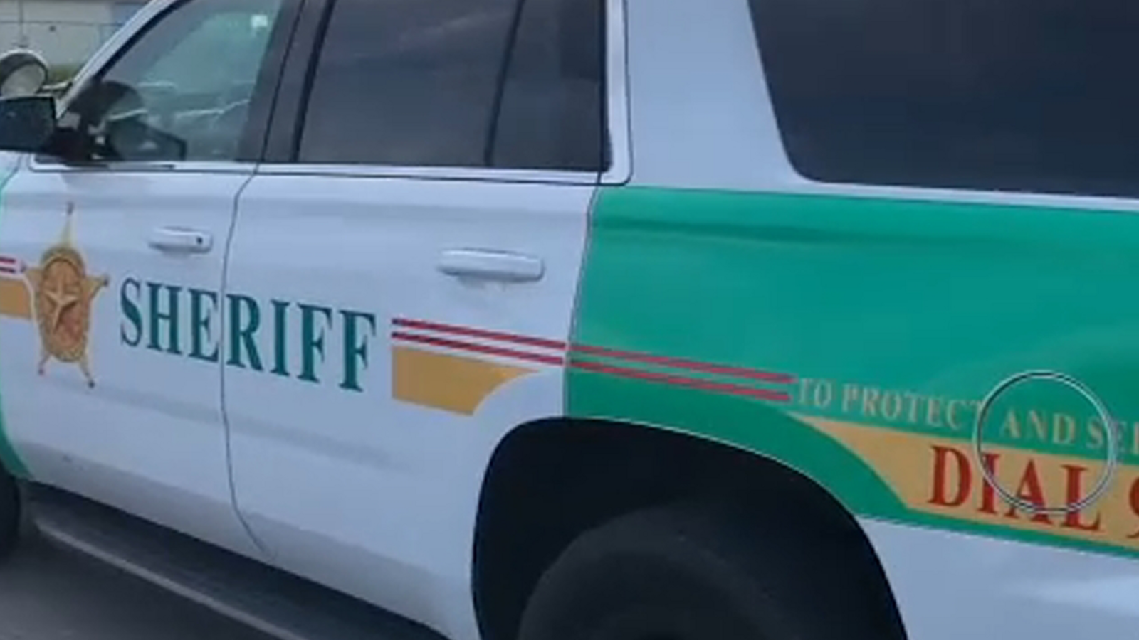 Animal cruelty San Leon woman charged after 60 dead animals removed