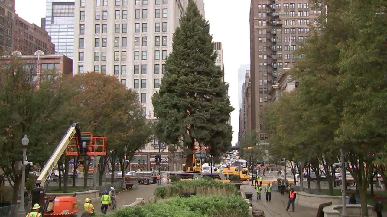 Chicago's Christmas tree makes grand arrival to Millennium Park