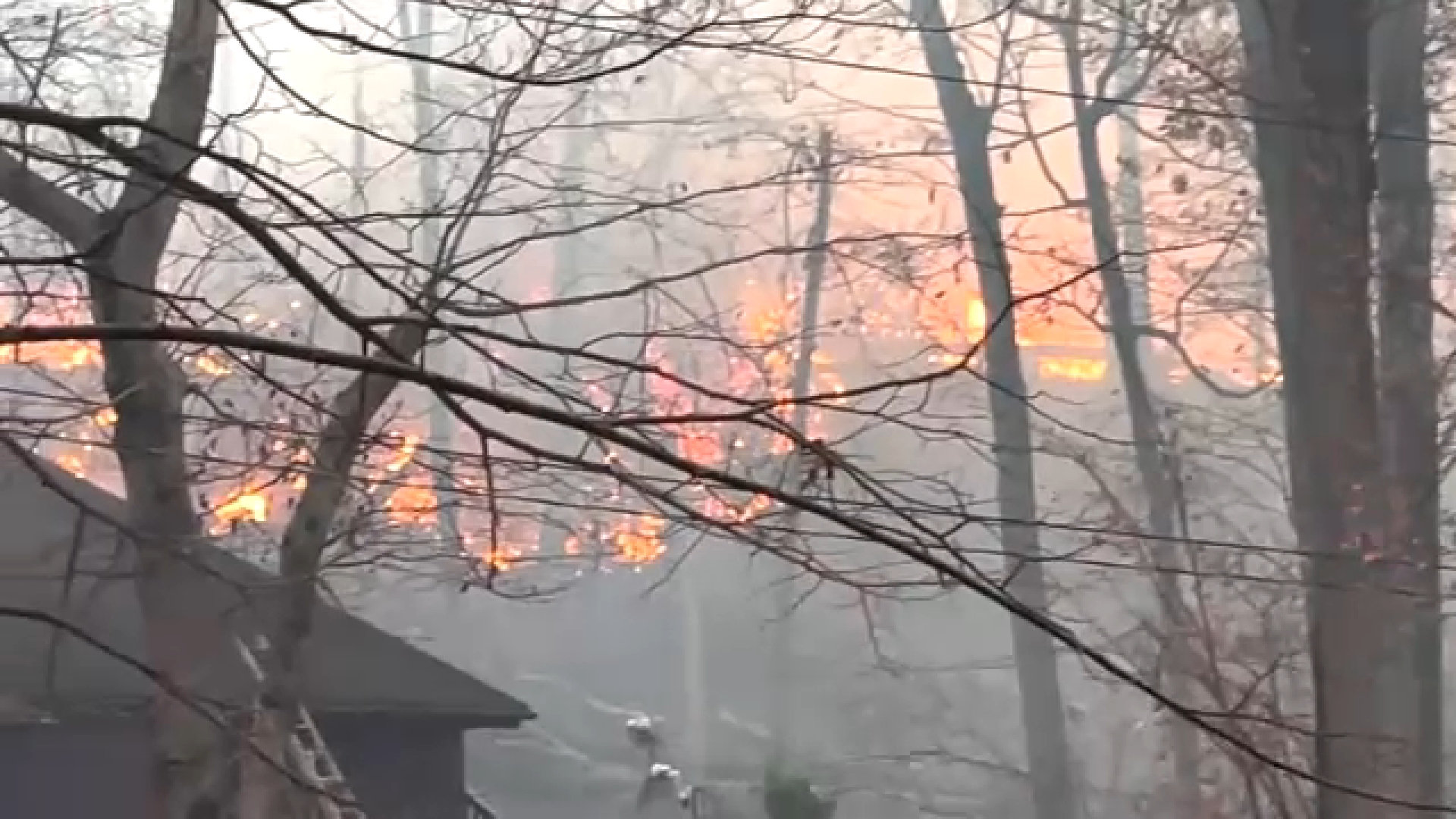 NY State, parts of NJ under burn ban amid Jennings Creek Wildfire