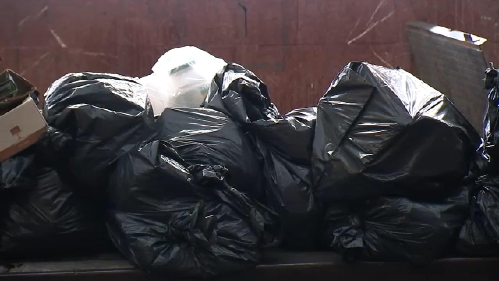 DSNY containerization rules for buildings with 9 or less units begins
