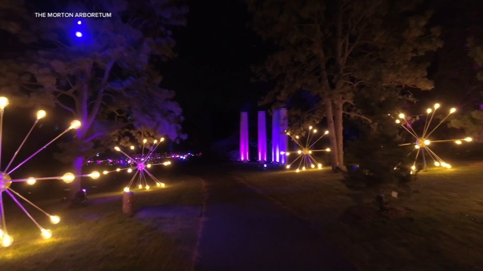 illumi-brew-to-kick-off-illumination-tree-lights-at-morton-arboretum