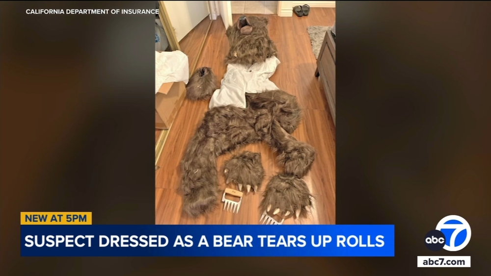 Suspects allegedly used bear suit in insurance fraud scheme: officials