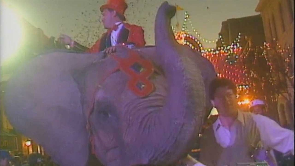 History of how Mardi Gras Galveston began