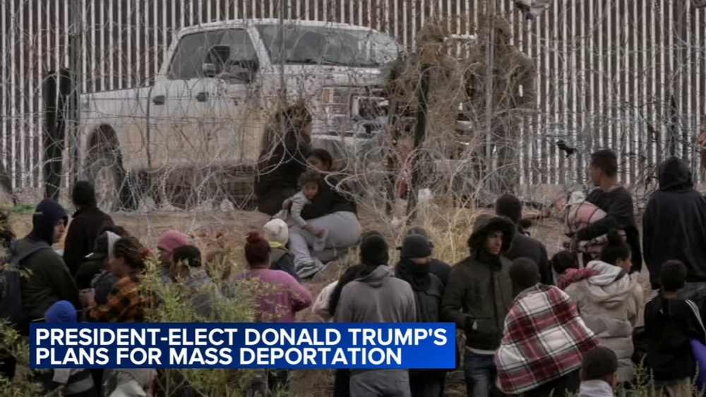Expert weighs in on Trump's mass deportation plans