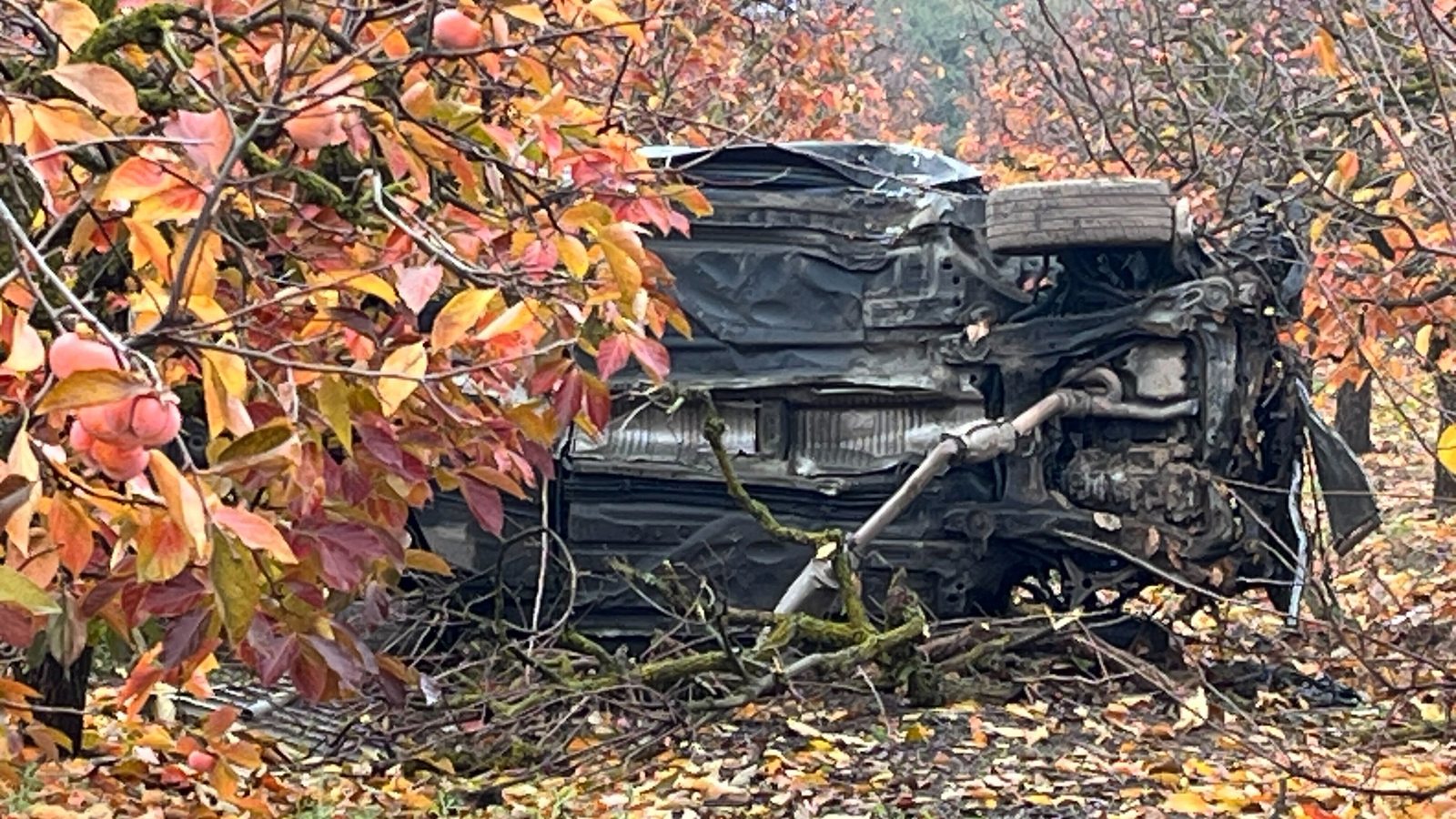 1 killed, 2 ejected in suspected Fresno County DUI crash, CHP says