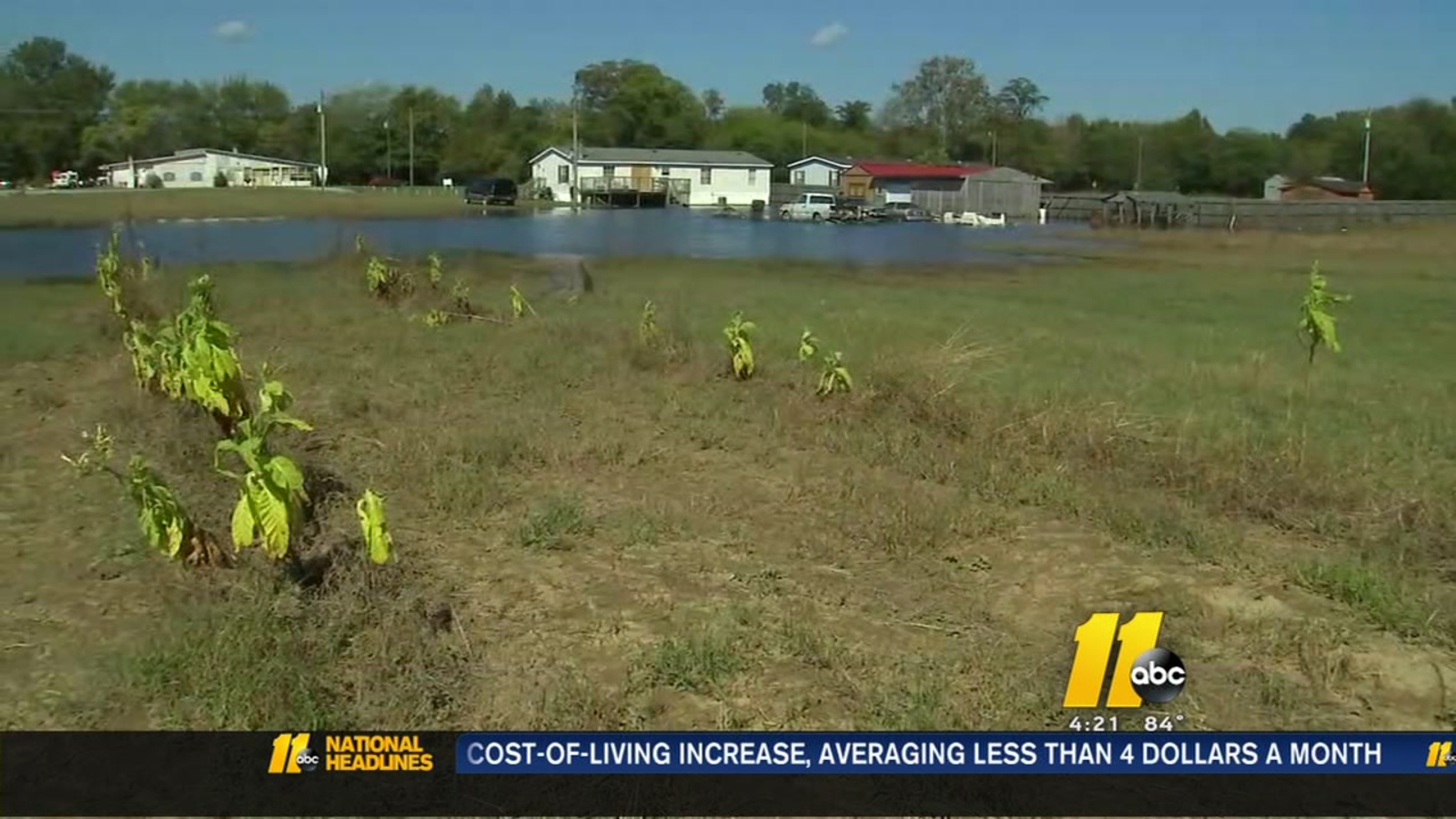 Farmers struggle as crops ruined from flooding ABC11 RaleighDurham