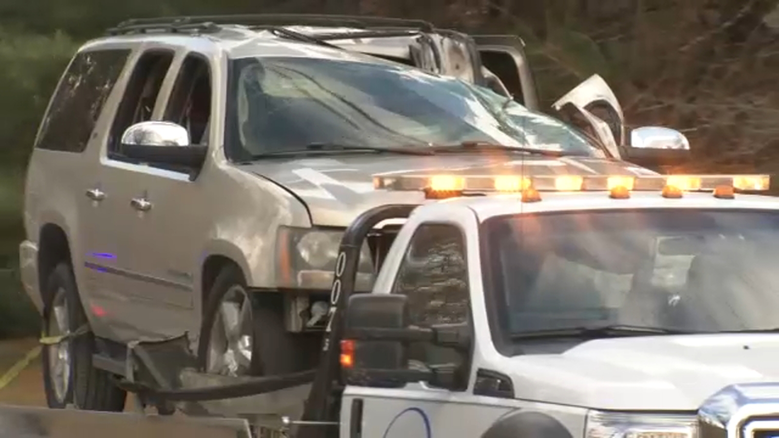 Woman, 30, killed after part of tree falls on SUV in West Whiteland Twp ...