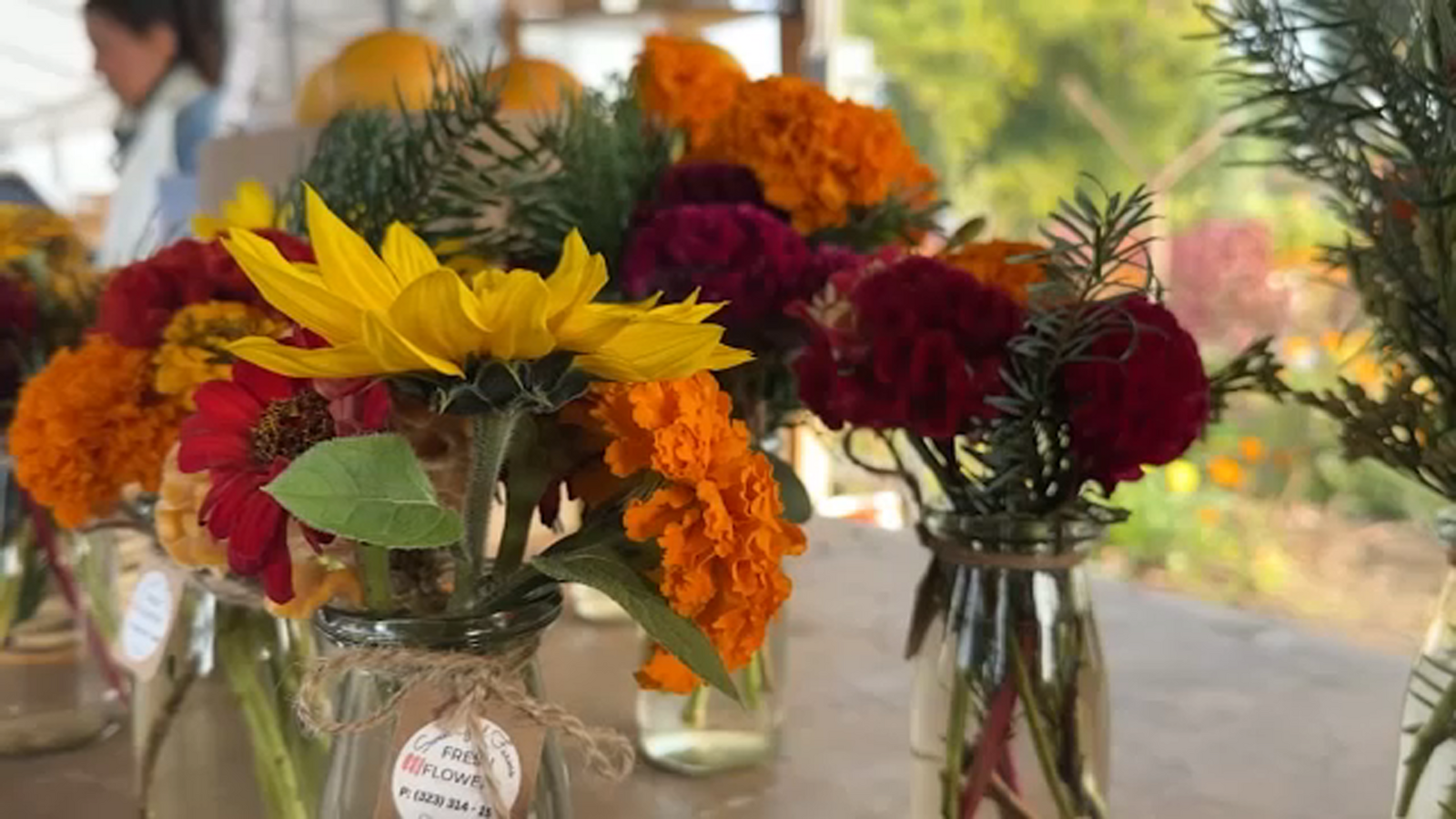 Cultivating community at Sweet Girl Farms