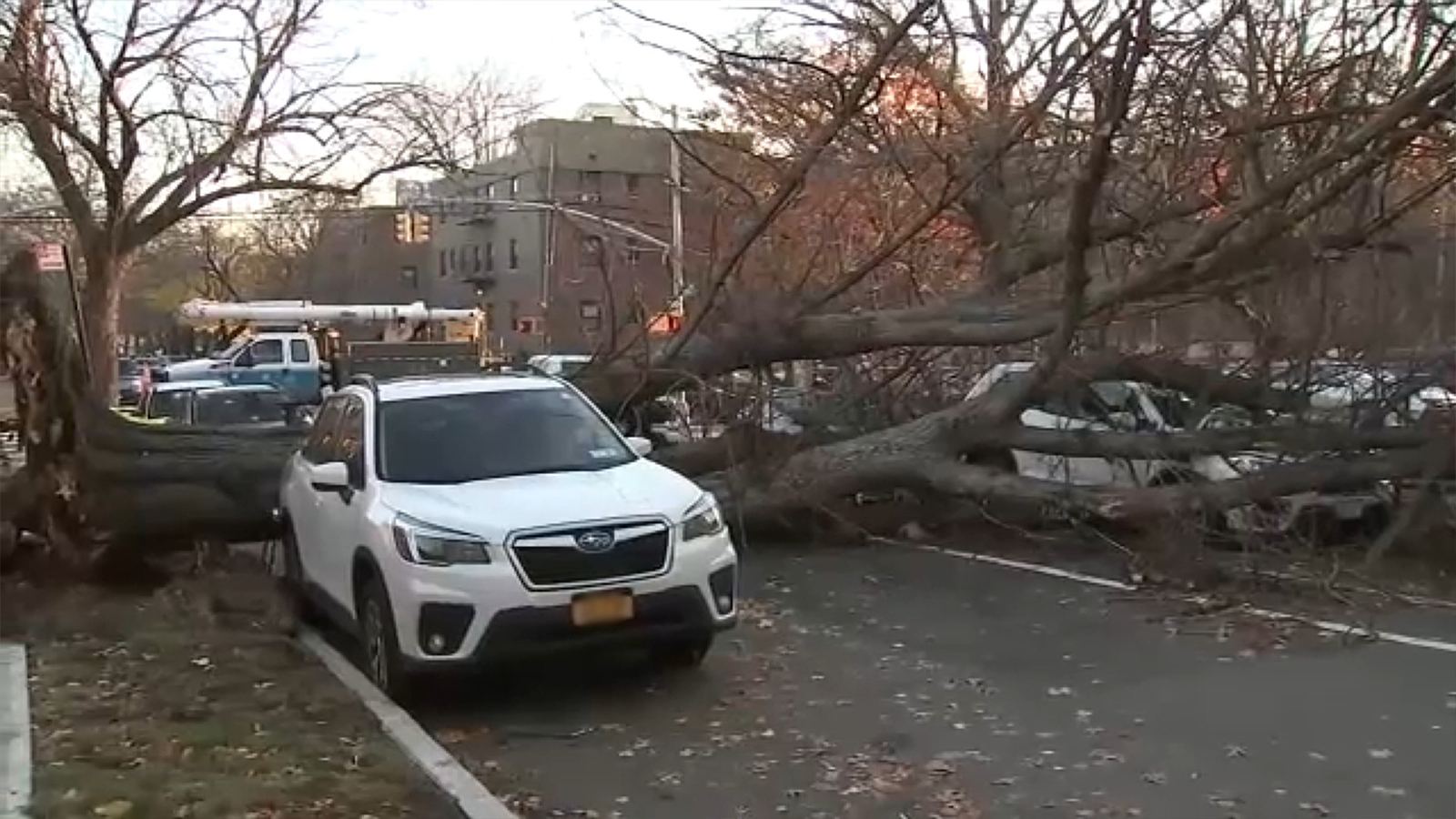 Strong winds cause trees to topple, bring down power lines across Tri ...