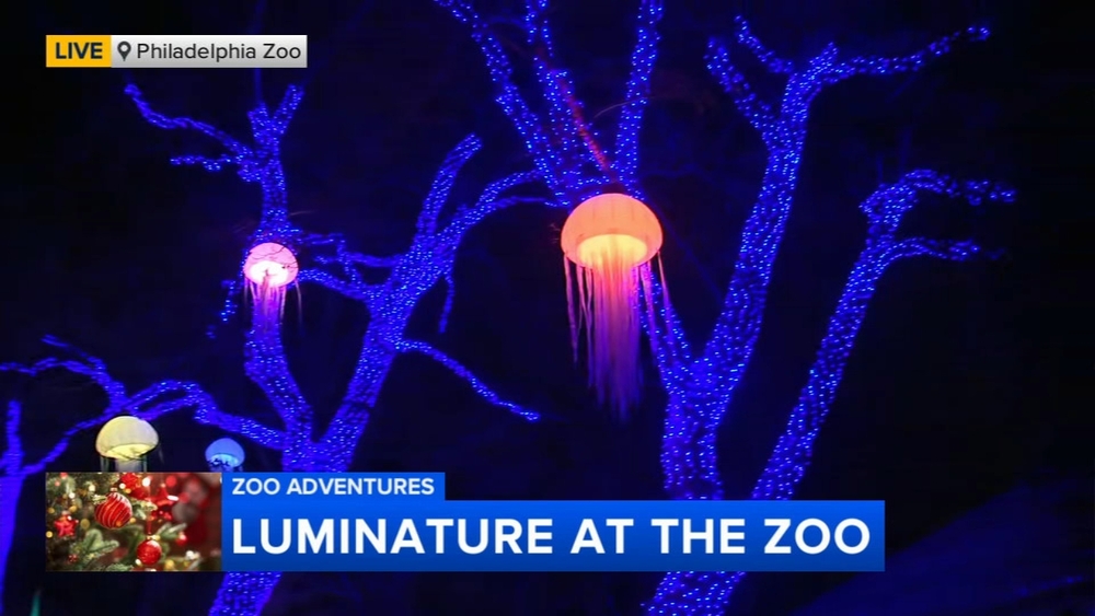 Tour of LumiNature at the Philadelphia Zoo