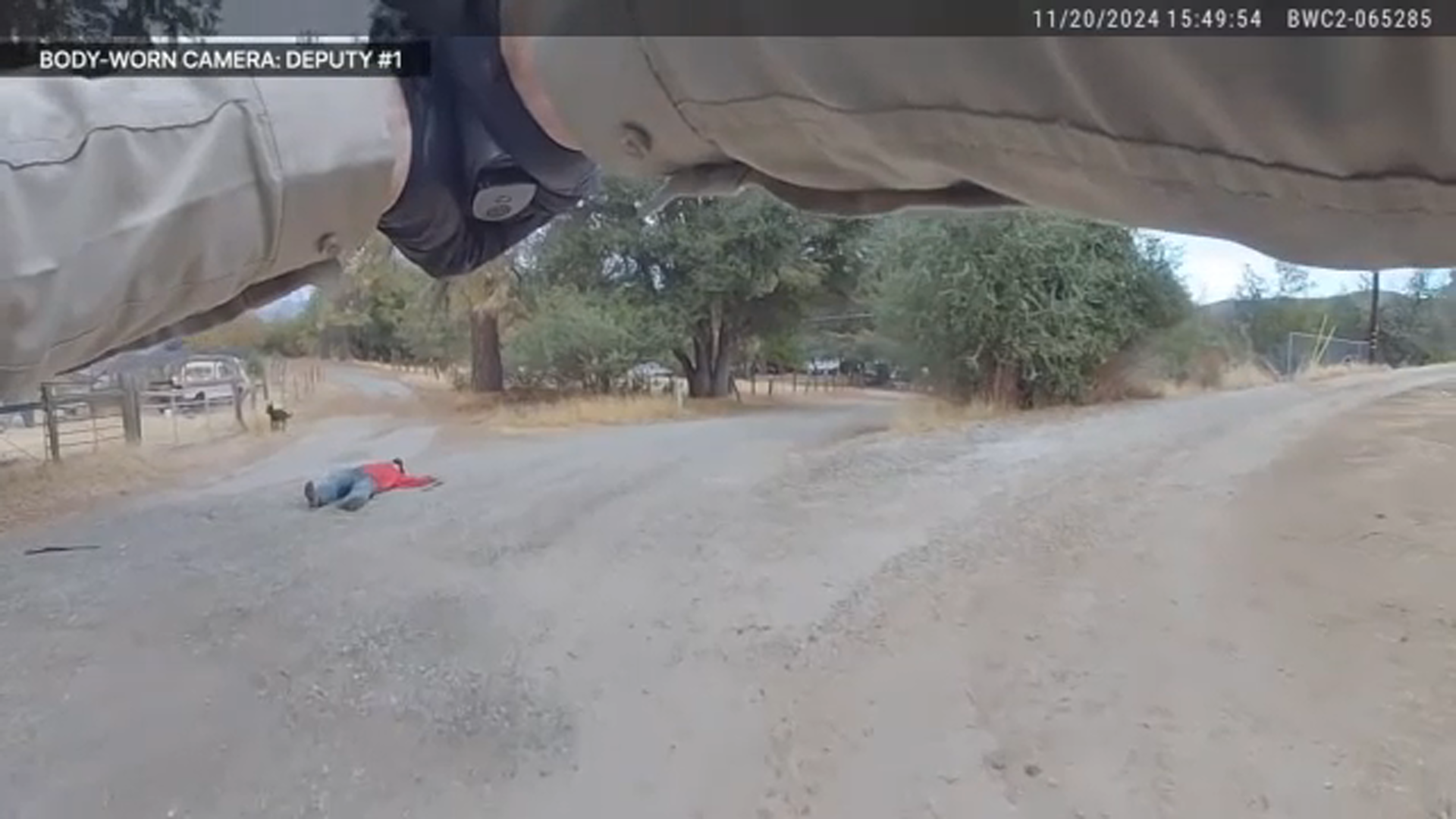Body Camera footage shows MCSO deputies open fire after K9 was injured