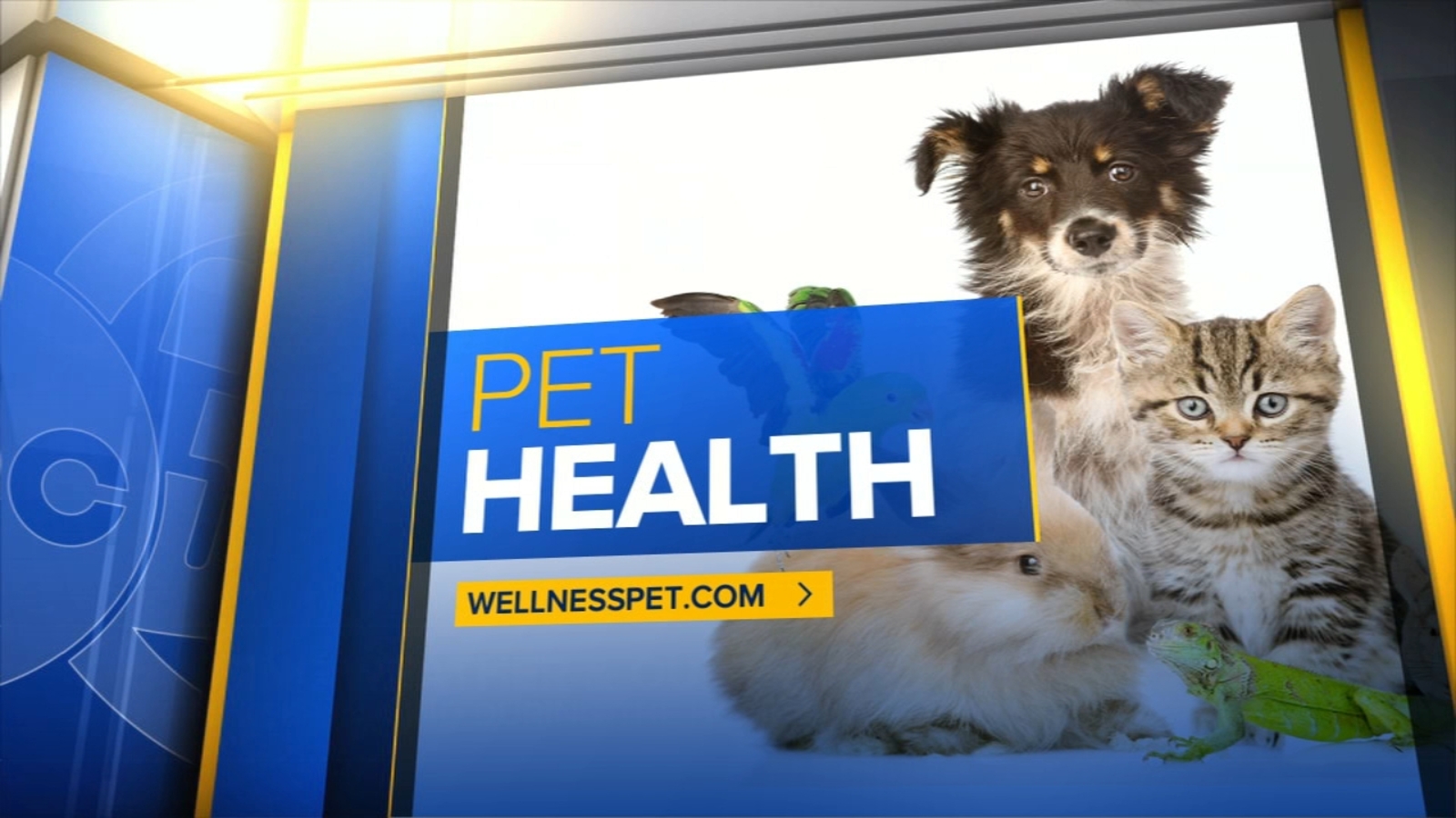 Tips for keeping your pets healthy this holiday season - ABC30 Fresno