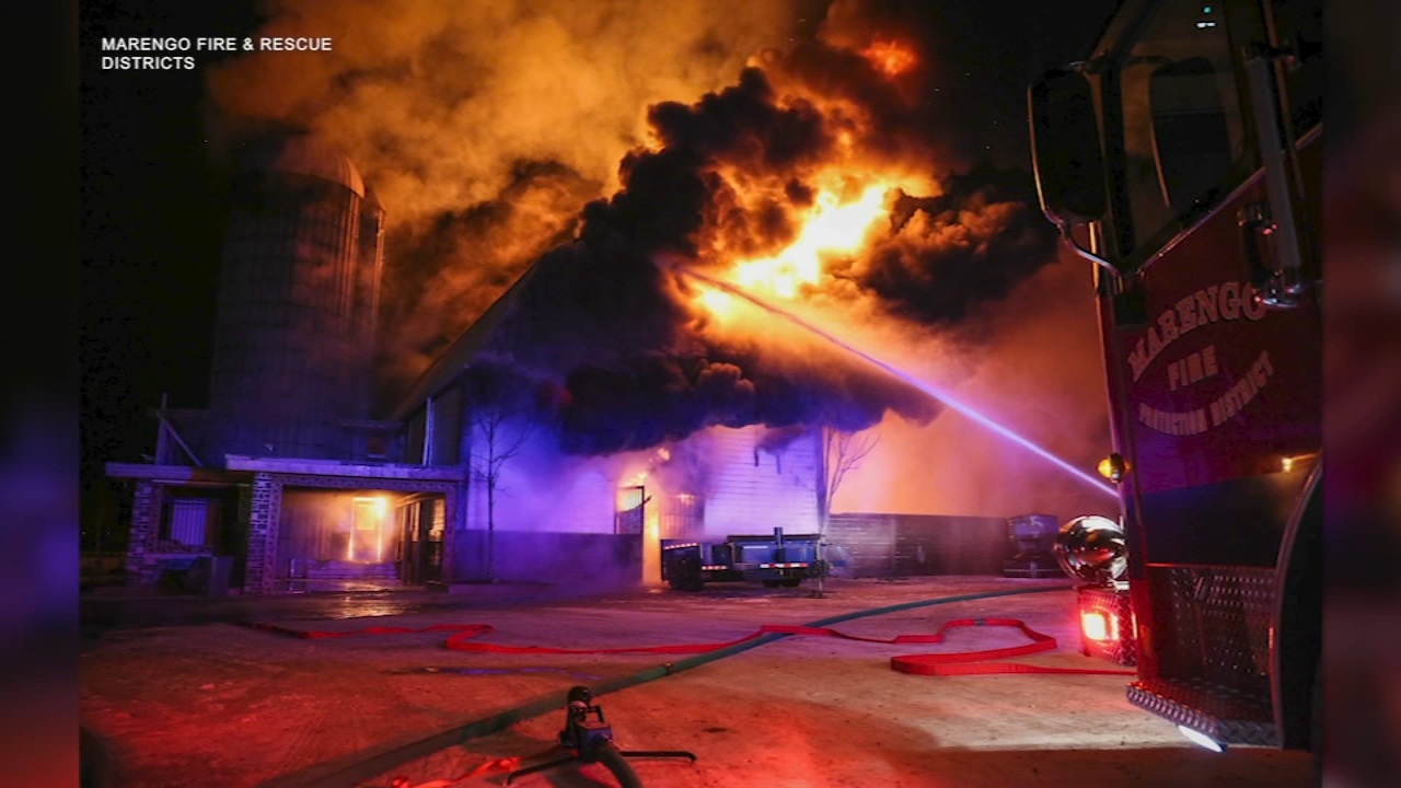 3 horses, pony killed in barn fire in McHenry County, officials say