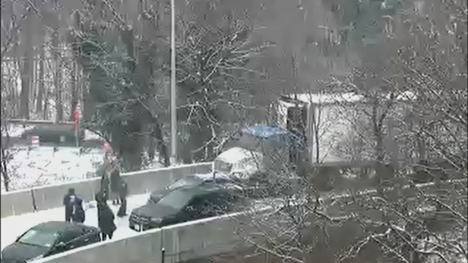 Queens Clearview Expressway crash: Man inspecting car struck, killed.