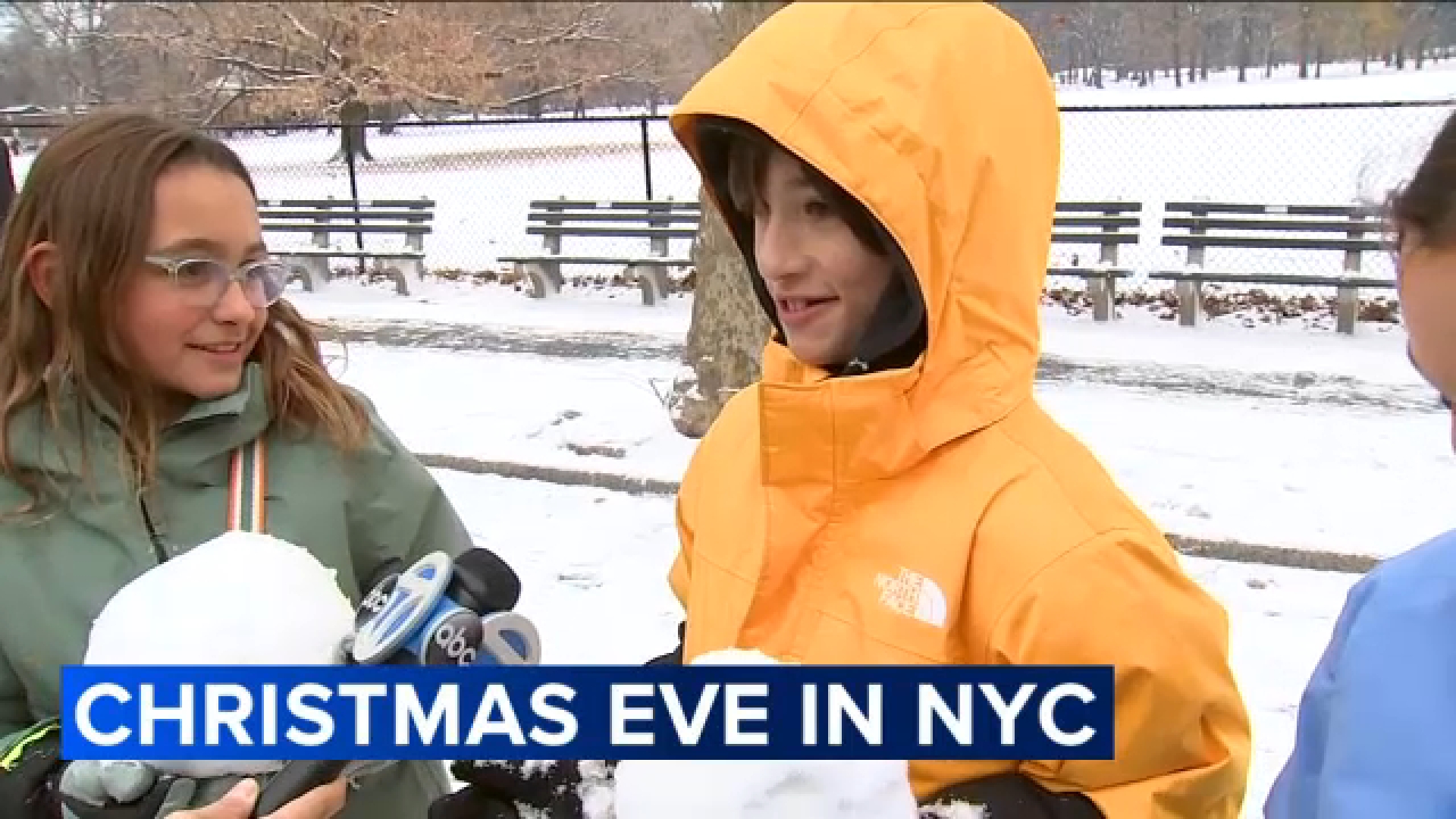 Residents, tourists enjoy snowfall taking over NYC
