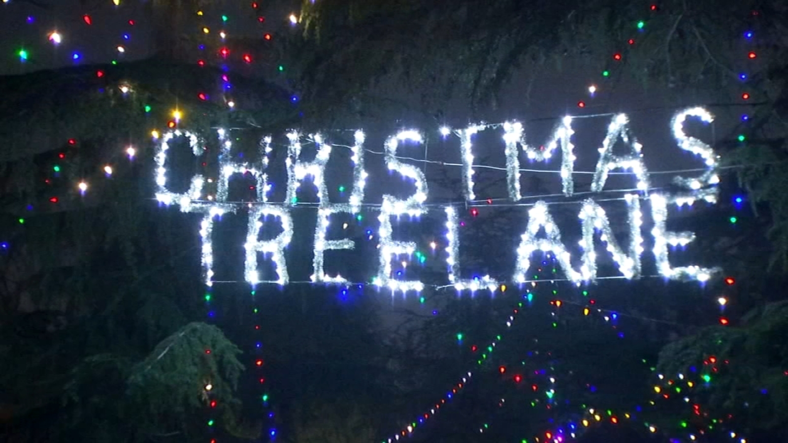 Families flock to Christmas Tree Lane and Candy Cane Lane for festive final night