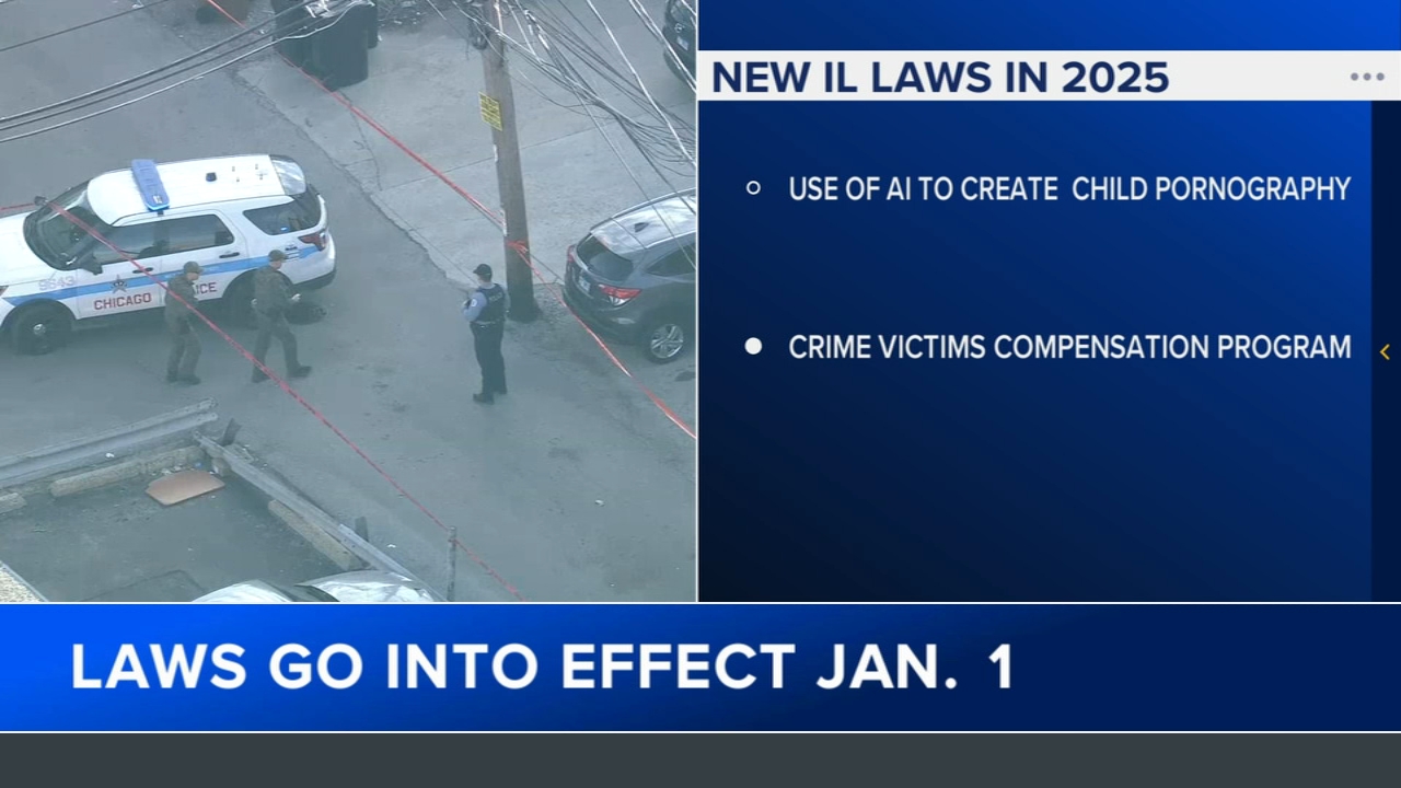 New Illinois laws 2025: List of laws in effect on Jan. 1
