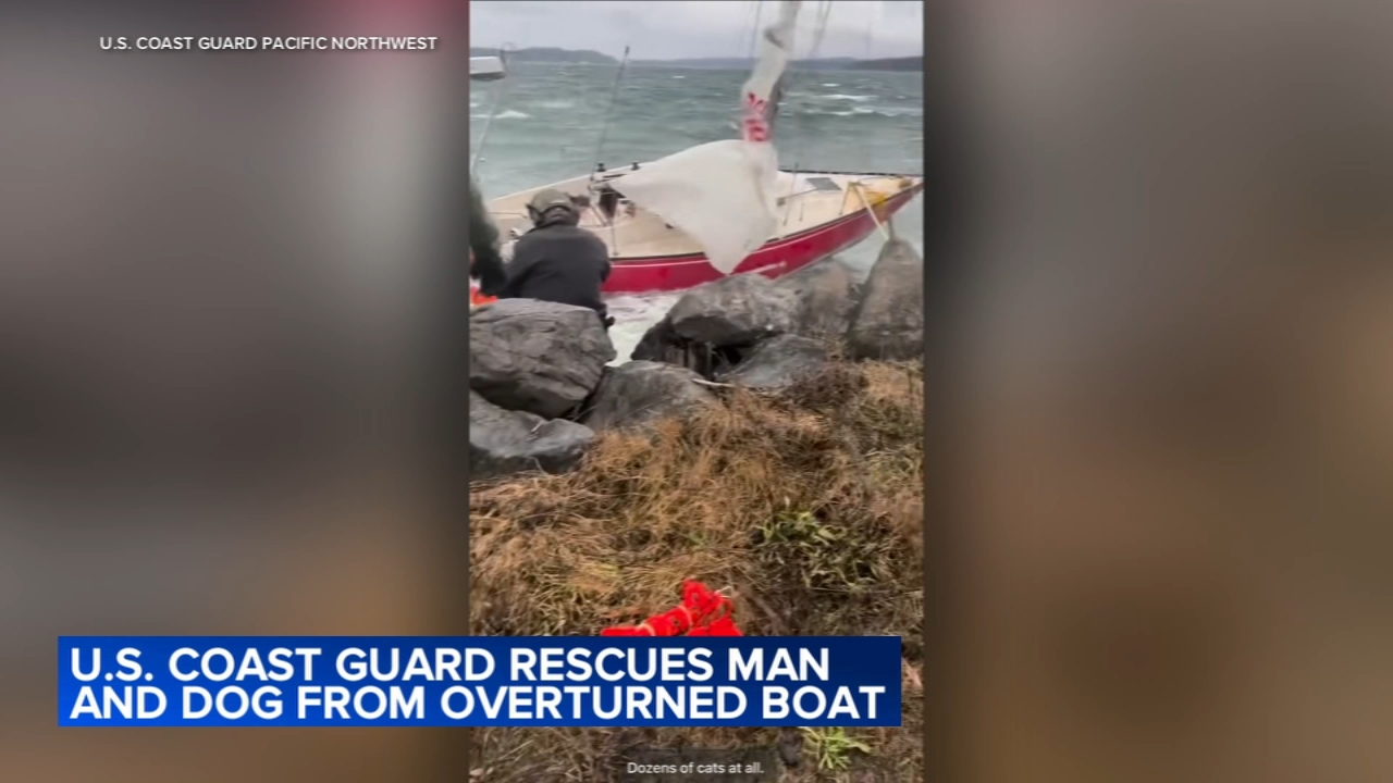 Coast Guard rescues man and dog from sailboat run aground