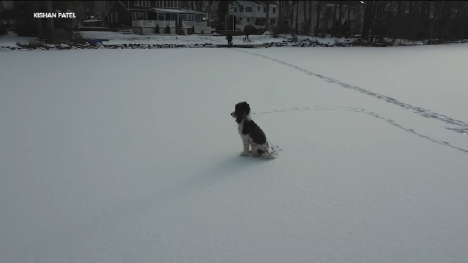 Drone Rescues Puppy Trapped on Frozen New Jersey Lake
