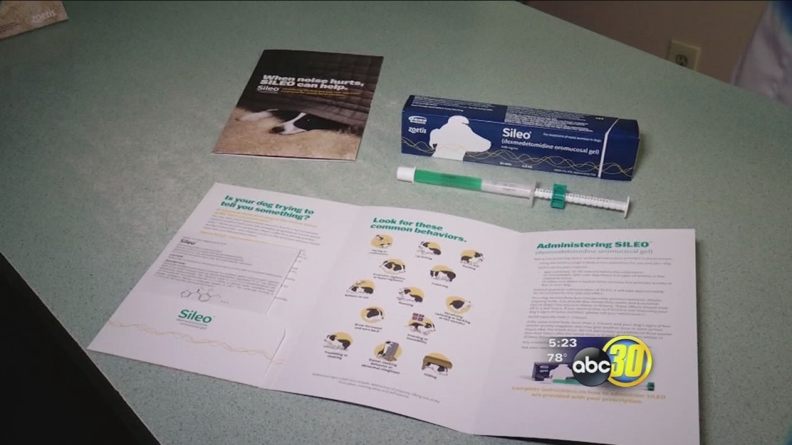 FDA approves drug for dog anxiety issues ABC30 Fresno