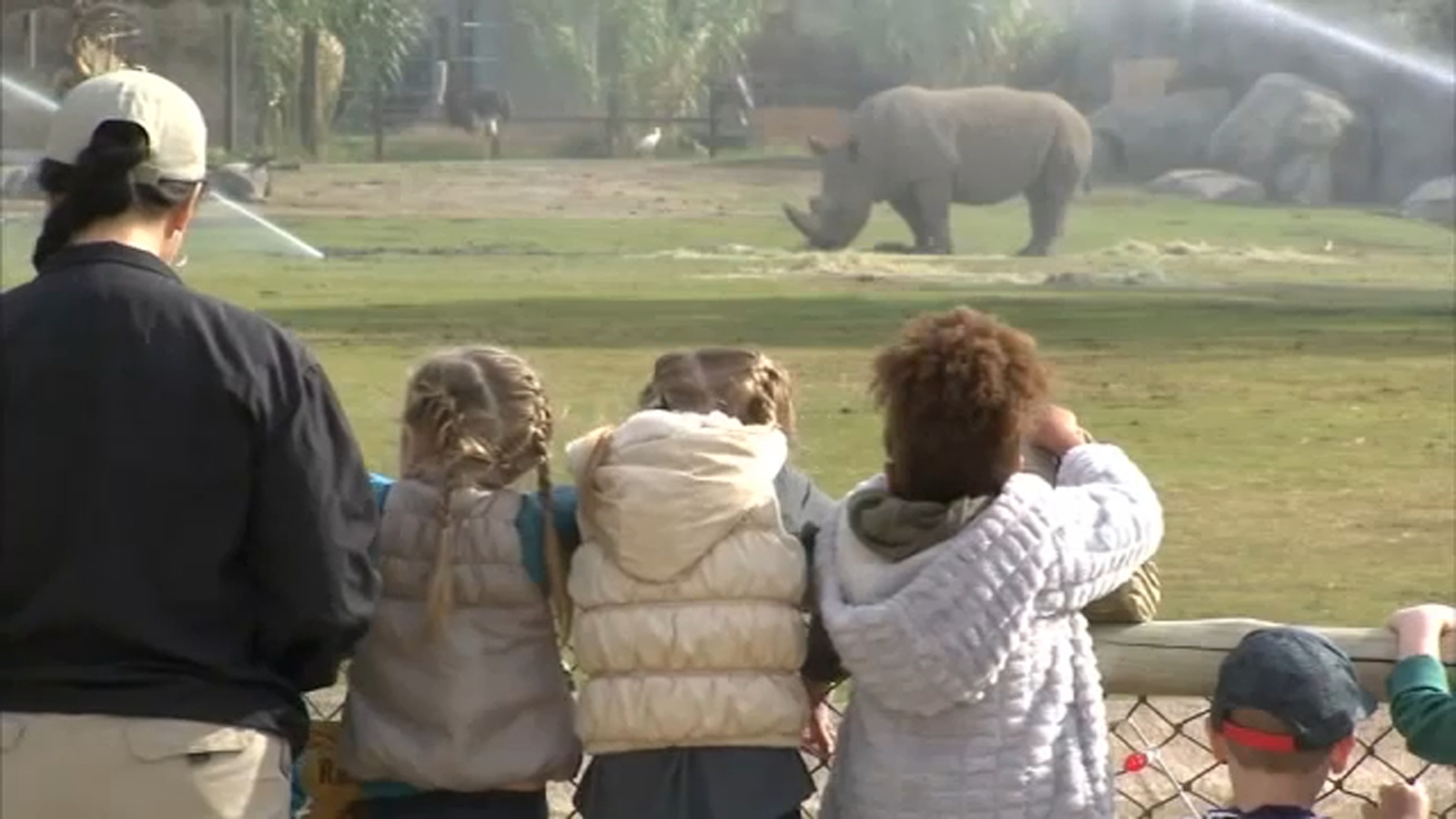 Fresno Chaffee Zoo prices set to go up during the new year