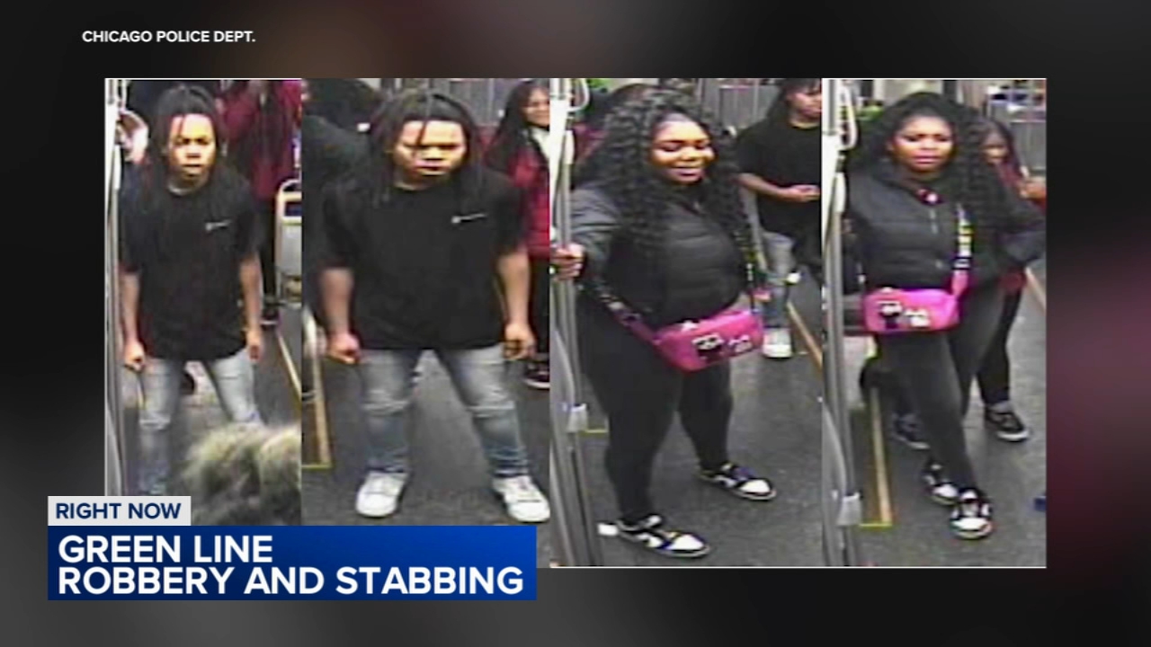 CPD issues warning after robbery victim stabbed on CTA Green Line