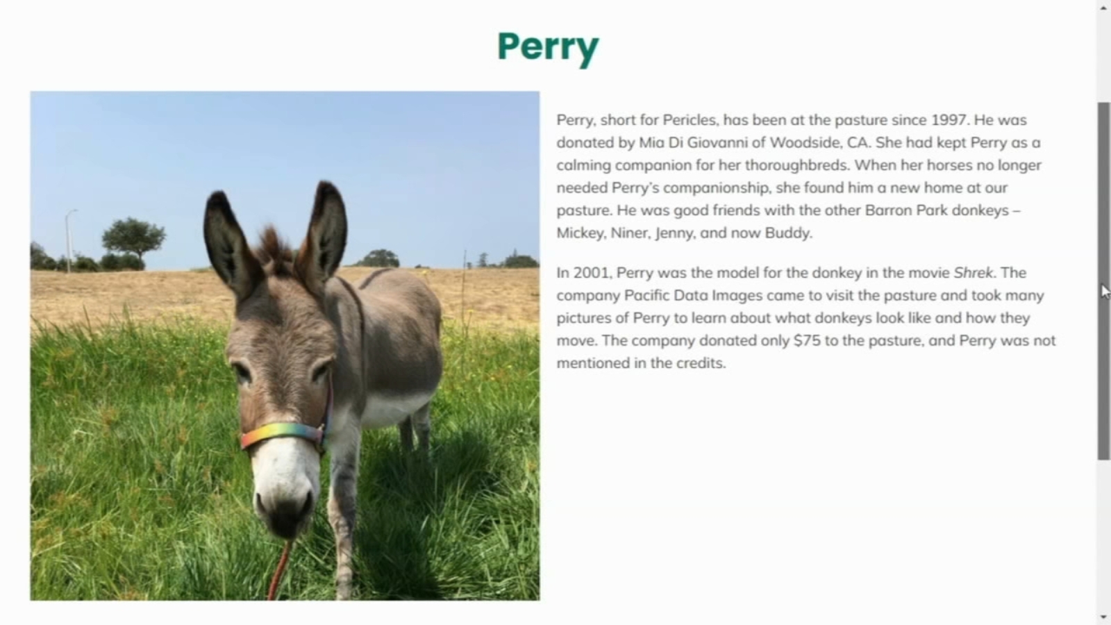 Shrek Donkey Dies at 30