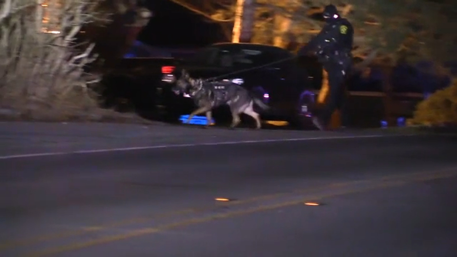 Lake County crime: 2 women shot, 2 in custody after police chase ...