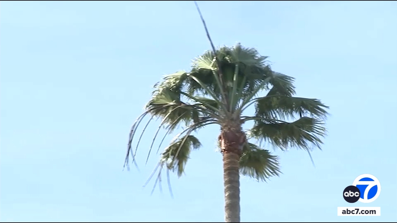'Life-threatening' windstorm expected to hit Ventura, LA Counties; NWS