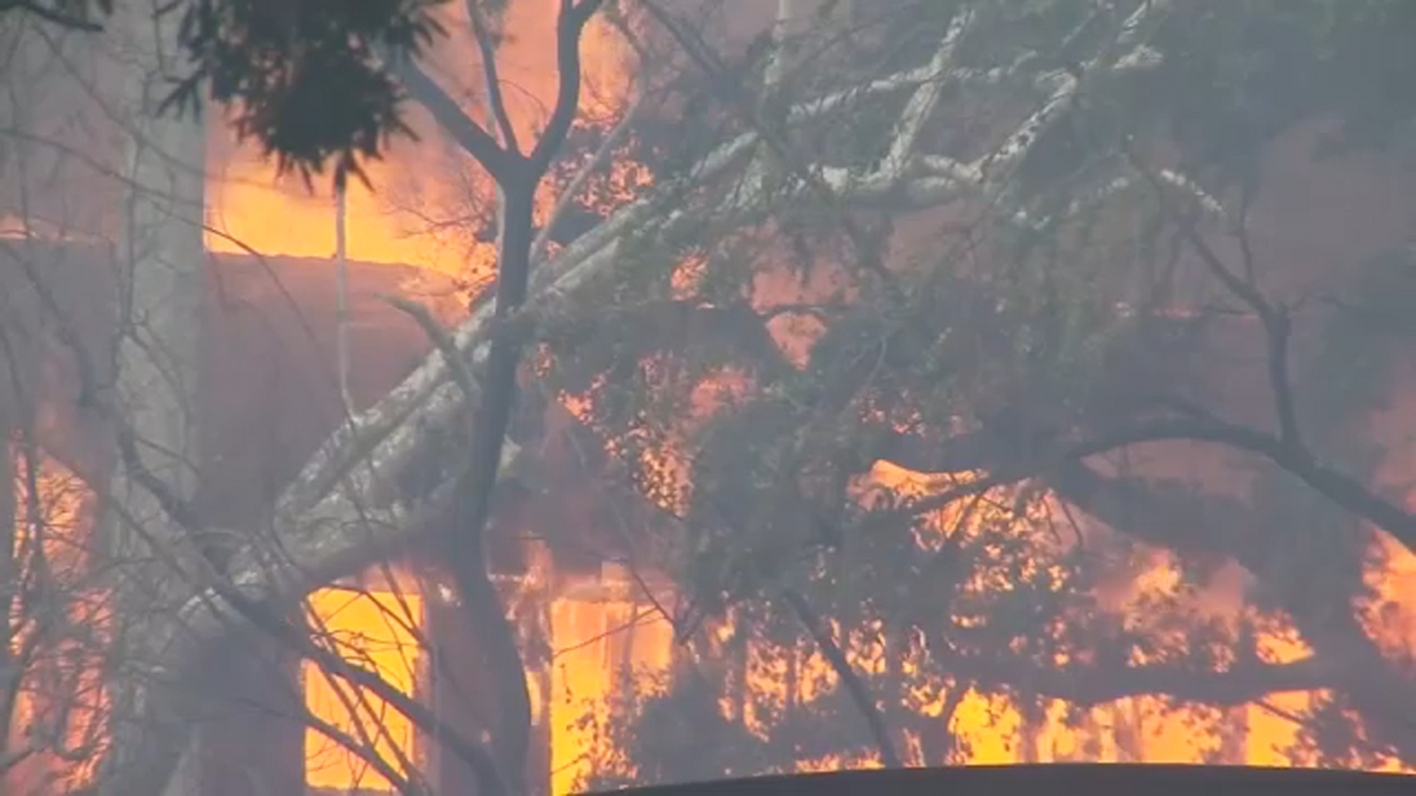 Residents left reeling in wake of devastating Pacific Palisades fire