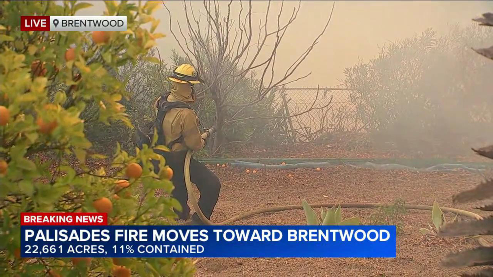 Firefighters stand guard protecting Brentwood homes - ABC7 Los Angeles