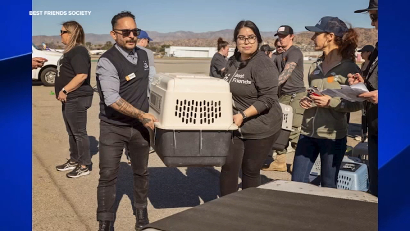 Visalia helping support displaced animals from Southern California wildfires