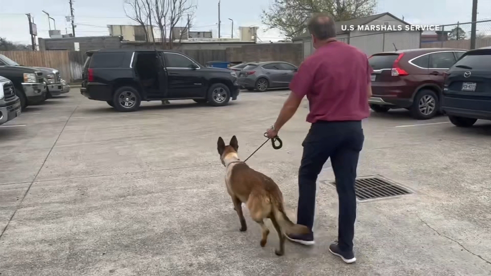 Federal K-9 officer Rocky expected to be back on the job soon
