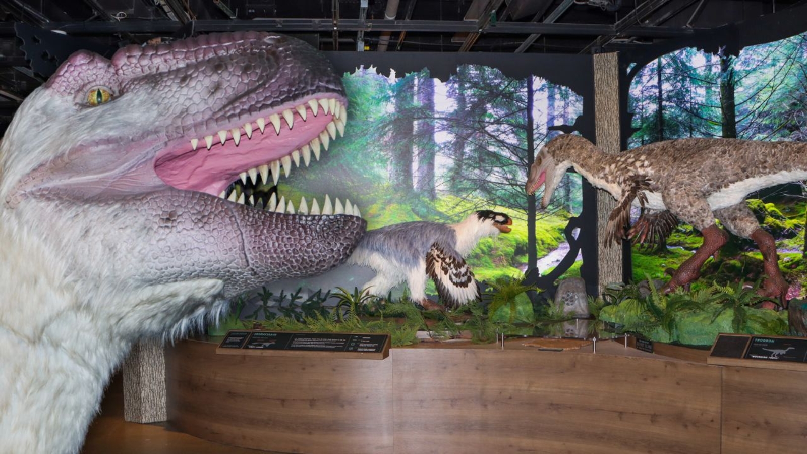 Animatronic dinosaurs are on display at The Academy of Natural Sciences of Drexel University
