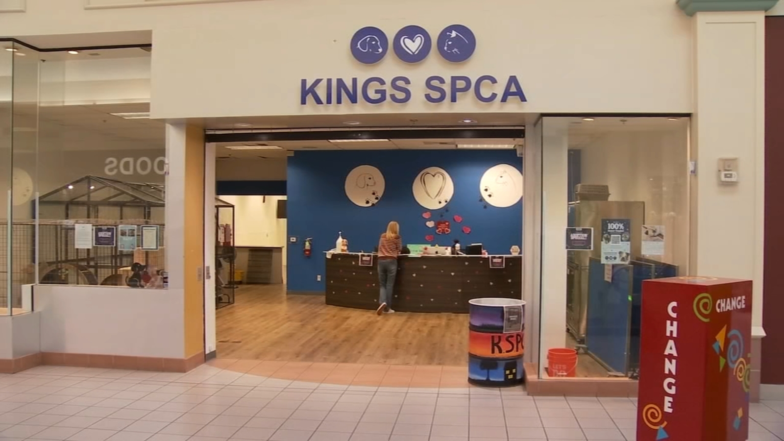 Kings SPCA forced to close due to lack of funding and inflation
