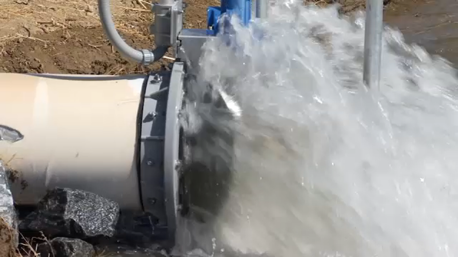 Ag leaders react to President Trump's executive orders on California water policy