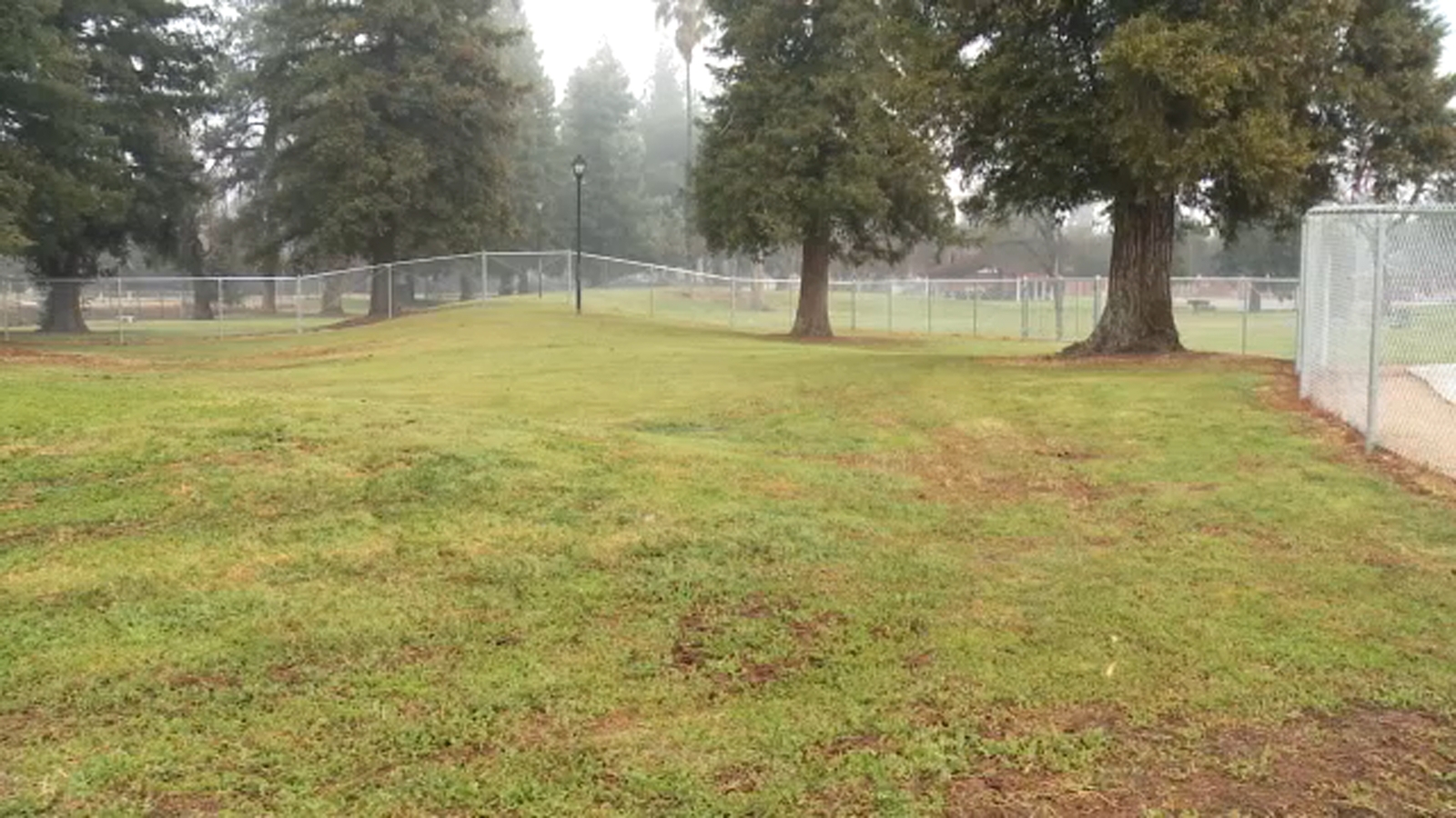 New dog park opens in Clovis