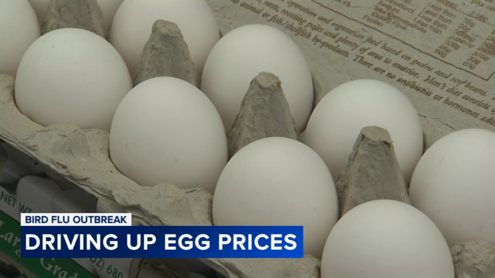 Bird flu is causing egg prices to soar, and the price keeps going up ...
