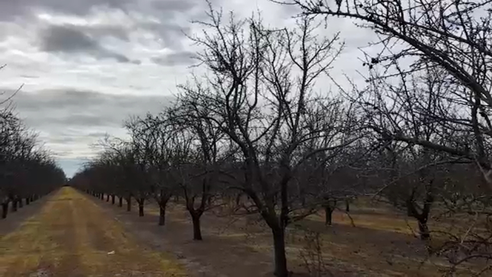 Much-needed rain to hit Central California