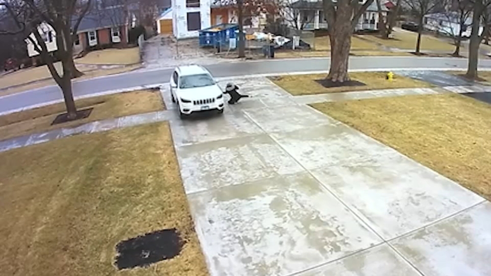 Car slides down driveway in Clarendon Hills