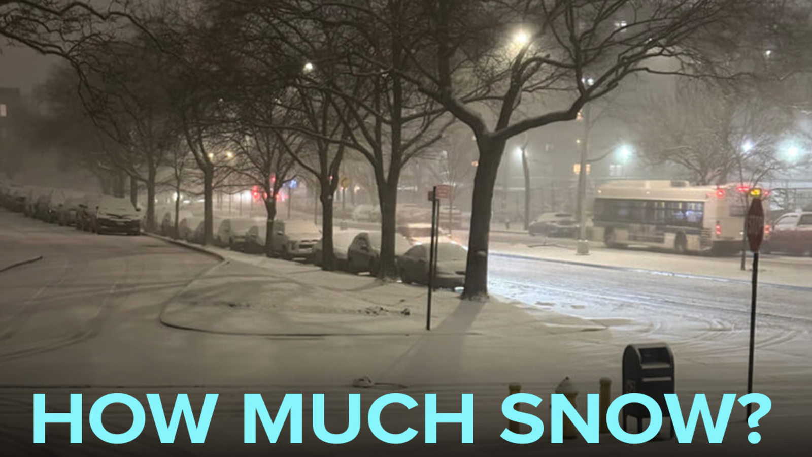 how-much-snow-from-winter-storm-2-11-25-snowfall-totals-from-nyc-ny