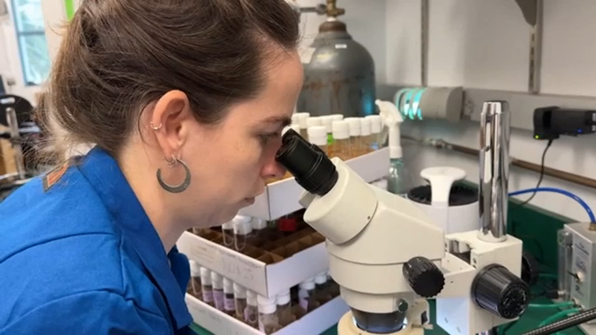 Trump administration funding cuts put search for cures for cancer, diabetes at risk, researchers say