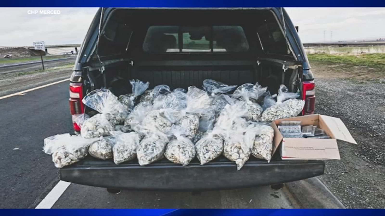 Over 50 pounds of illegal mushrooms found during traffic stop in Merced County