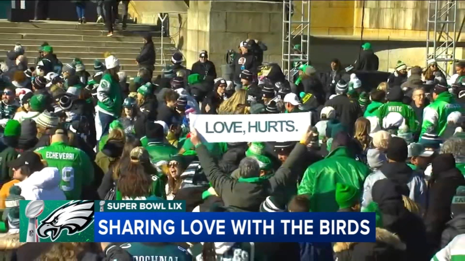 eagles-fans-share-love-with-birds-this-valentine-s-day-6abc-philadelphia