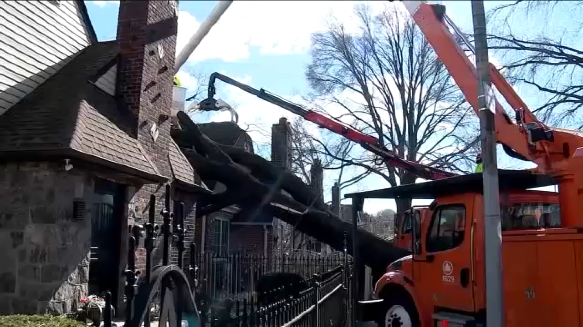 High winds topple trees in Queens, smashing homes and cars