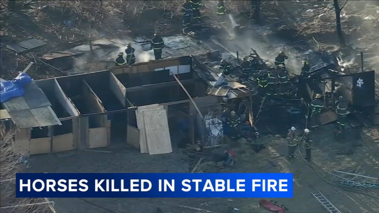 2 horses dead, 12 rescued after stable fire in Southwest Philadelphia