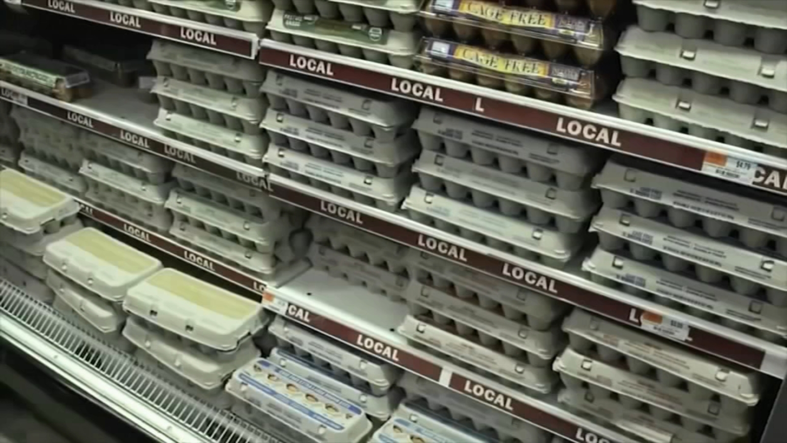 Egg prices cost of eggs predicted to soar more than 41 in 2025 usda