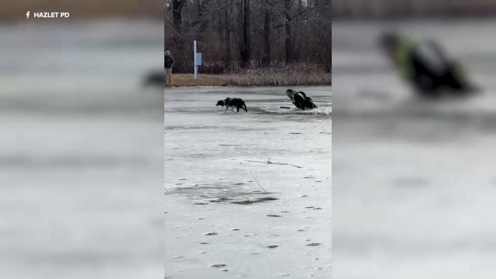 Hazlet Township Police Department officer rescues dog from frozen pond ...